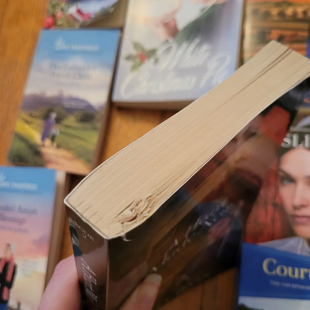 31 Amish Fiction Book Lot Brunstetter Woodsmall Fuller Fisher Christian Romance